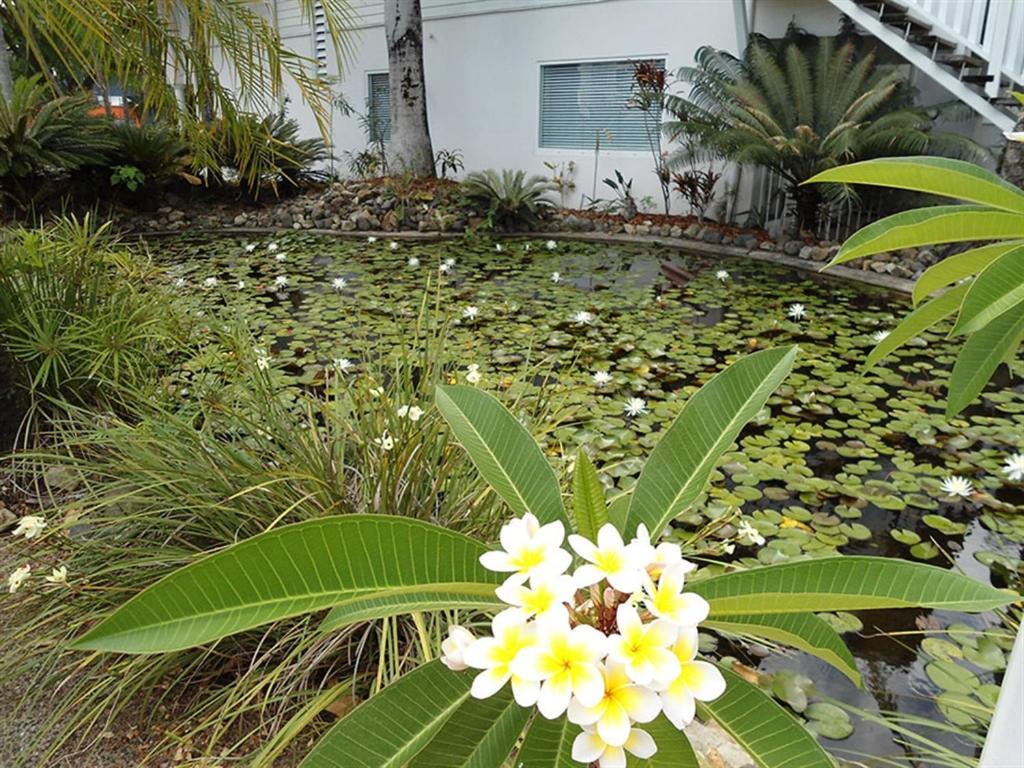Mango House Resort Airlie Beach Exterior photo